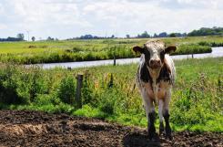Natürliche Landschaft